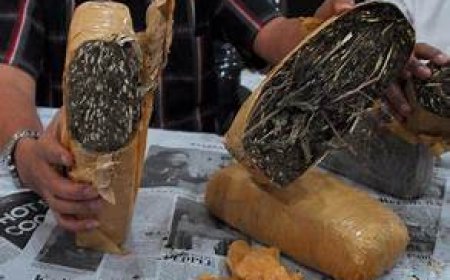 Tiga Kawanan Narkoba DIbekuk di Tanah Datar