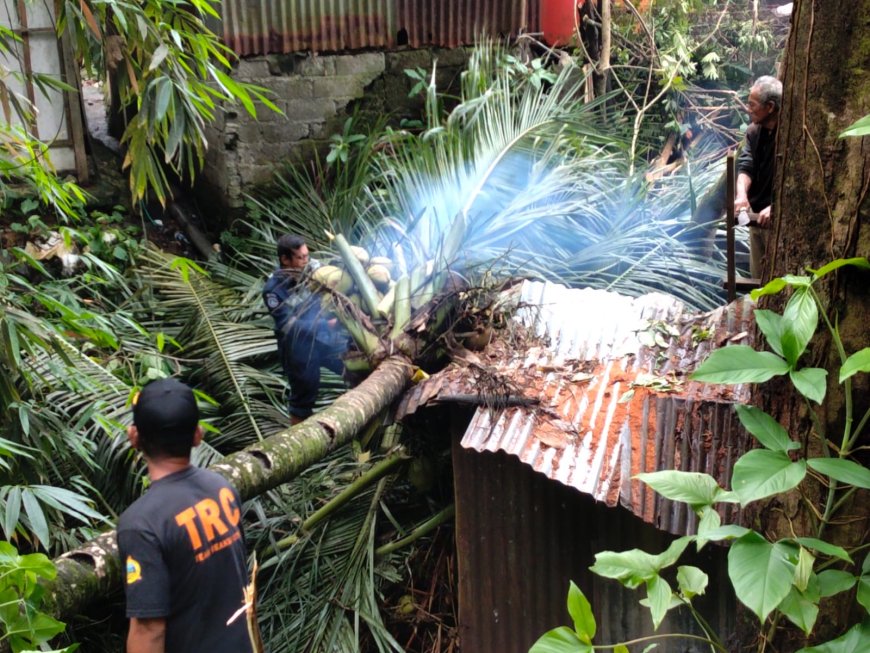 Pohon Hantam Rumah Warga di Padang