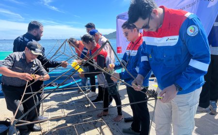 Hari Lingkungan Hidup Sedunia, Pertamina Laksanakan Transplantasi Terumbu Karang di Pulau Pasumpahan