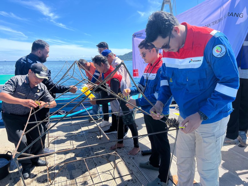 Hari Lingkungan Hidup Sedunia, Pertamina Laksanakan Transplantasi Terumbu Karang di Pulau Pasumpahan