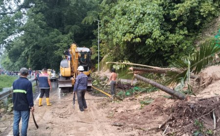 Longsor Tutup Jalur Lembah Anai, Arus Padang–Bukittinggi Lumpuh Total