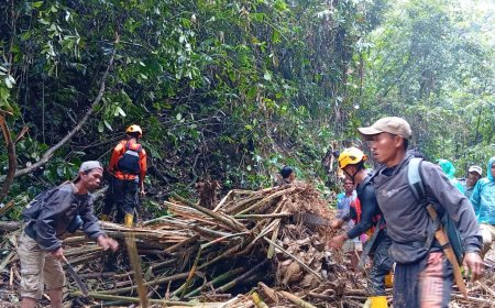 Banjir Bandang di Pasaman, Satu Warga Terseret Arus Masih Dicari