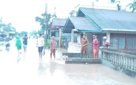 Hujan Deras Sebabkan Luapan Air, Rumah dan Sawah di Tiga Jorong Solok Selatan Terdampak
